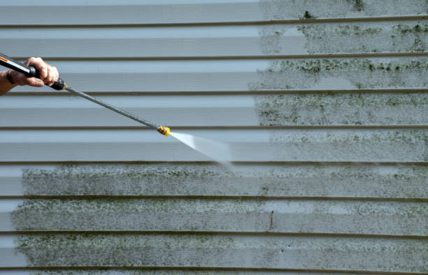 Boat and Dock Cleaning in Forest Lake, IL